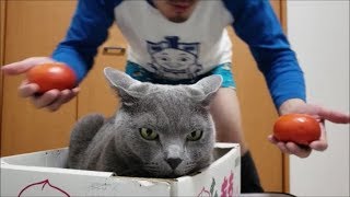妖怪「柿おじさん」がやってきた！！
