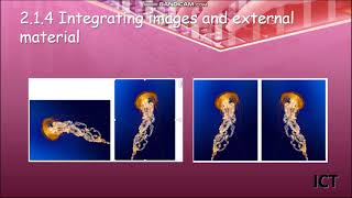 module 2 video