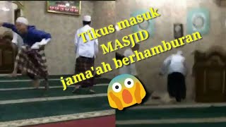 Tikus masuk kedalam masjid,jama'ah berhamburan🤔😁😁