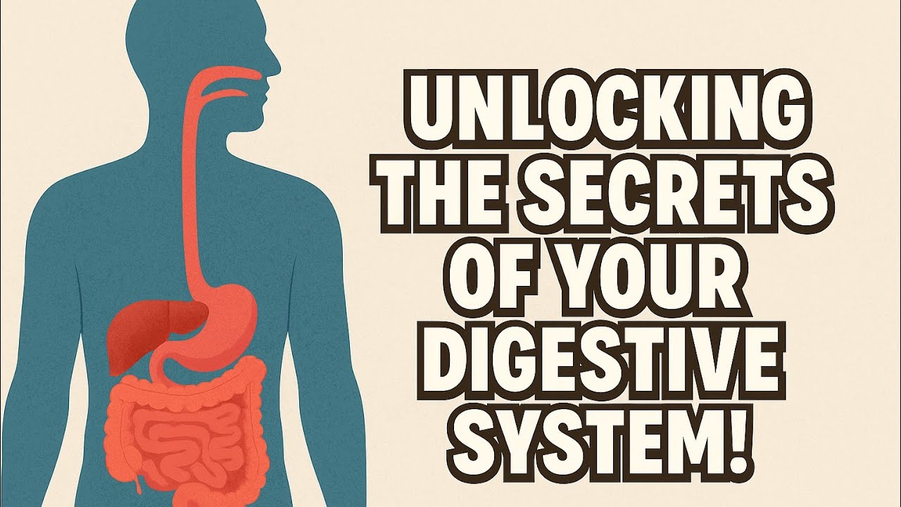 Unlocking the Secrets of Your Digestive System!