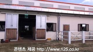 구미시승마장