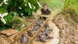 Dwarf Family Catches Catfish From a Mysterious Box in the Forest | Survival Life