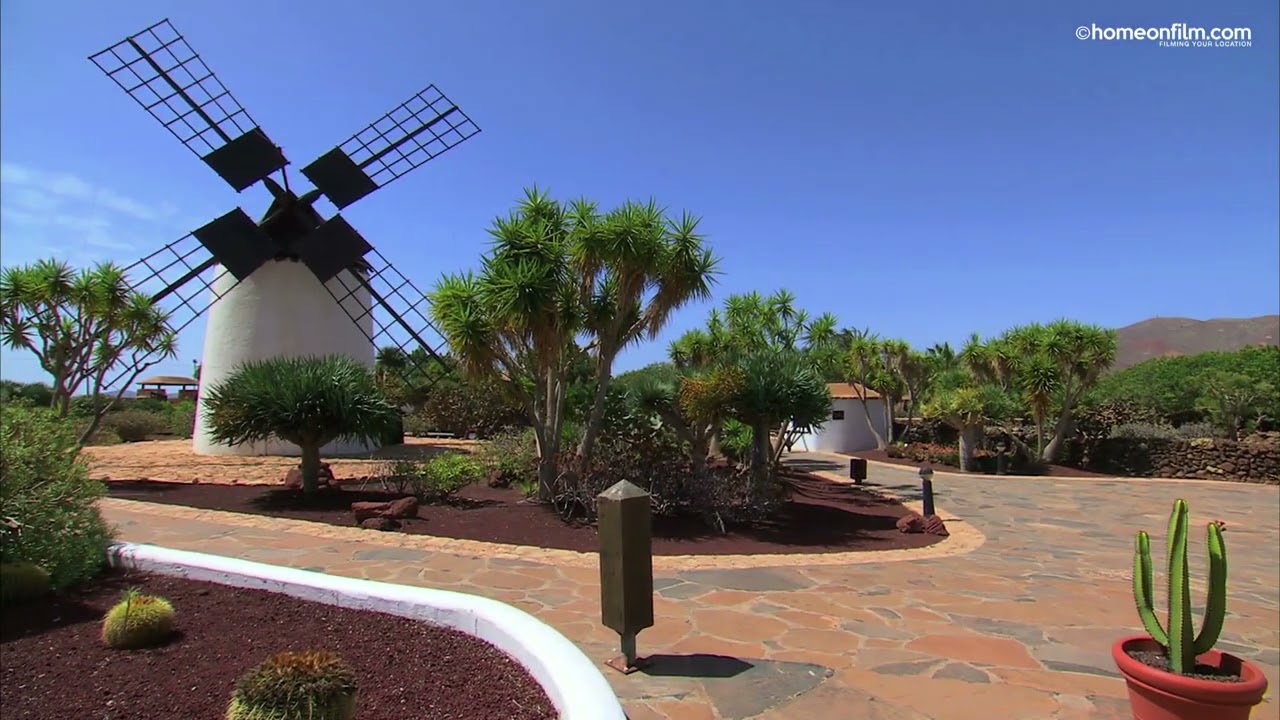 Triquivijate, Fuerteventura, Canary Islands, Spain