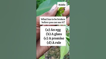What has to be broken before you can use it? #search #puzzle #riddles