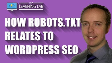 Check The Robots.txt File For Potential WordPress SEO Issues | WP Learning Lab