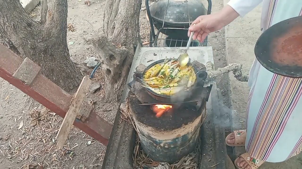 كيف نعيش في البادية