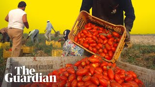 How The Italian Mafia Makes Millions From Tinned Tomatoes | It's Complicated