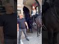 Out of the box #london #tourist #respect #horse #history