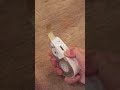 均一に揃ったマステほど美しいものがある?