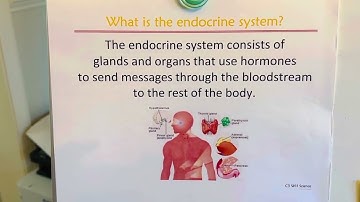CC Cycle 3 week 11 Science Endocrine System