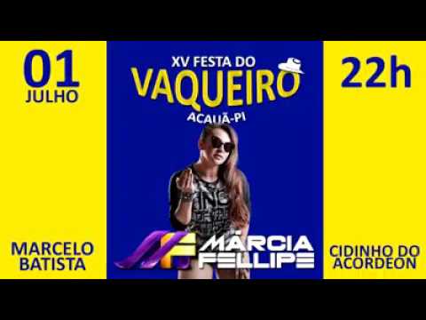 XV FESTA DO VAQUEIRO 2017 EM ACAUÃ PI