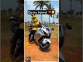 Bunny helmet rider #automobile #cute #rider #biker #crazybikers #bikers #love #funny #comedy #fyp