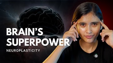 Neuroplasticity Explained: How to Reshape Your Brain With Brain Exercise