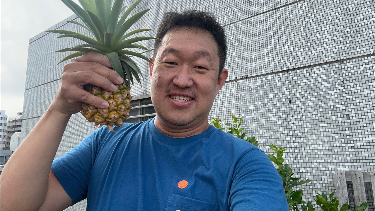 鳳梨🍍 縮圖