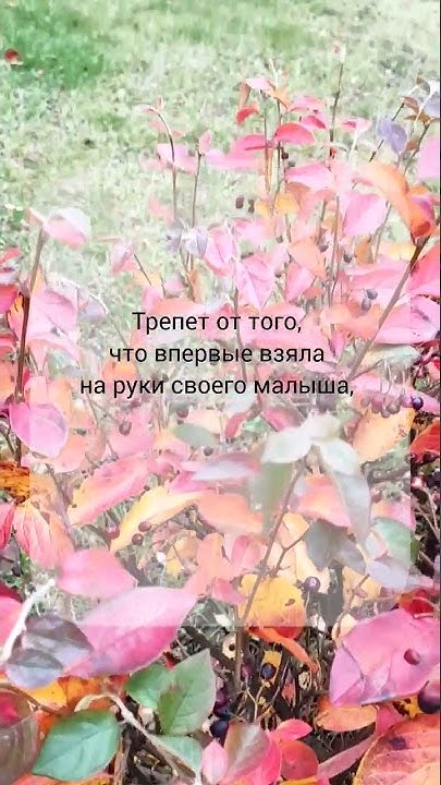 Найди точку опоры - YouTube