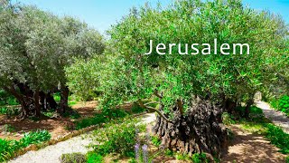 Jerusalem: Garden of Gethsemane, Pools of Bethesda and Lutheran Church of the Redeemer.