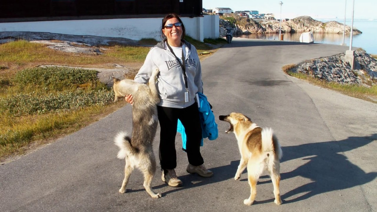 Groenlandia - Disko Bay
