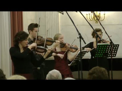 Vivaldi Violin Concerto - Márta Ábrahám & ÁBRAHÁM CONSORT