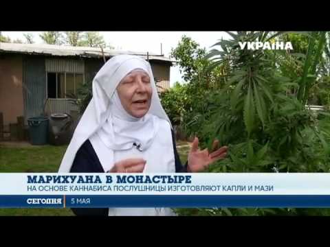 В Калифорнии монахини выращивают и продают марихуану