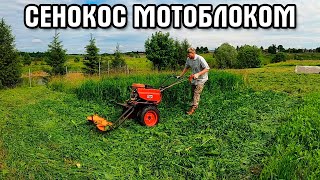 Сенокос мотоблоком. Пробное окучивание картошки.