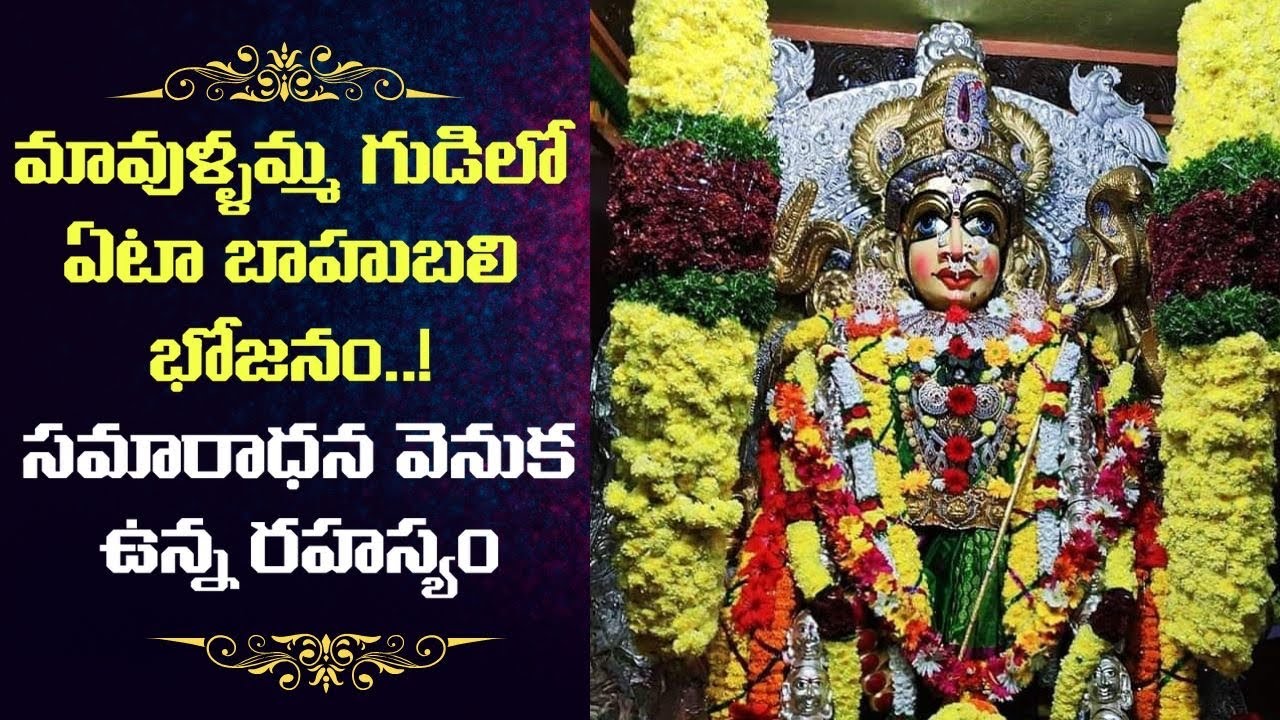 ఆకలితో ఎవ్వరూ ఉండరు లక్షల మందికి భోజనం!#bhimavaram #godavarivibes 