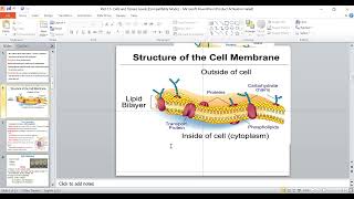 cell and tissue