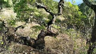 Descubriendo La Belleza Inesperada de la Sierra De Carricillo Atarjea Guanajuato