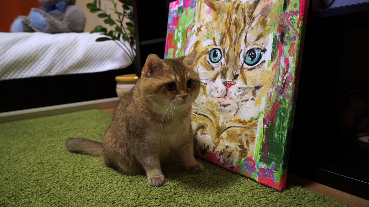 funny cats sleeping in weird positions compilation 2014 funnyplox This is easily my favorite painting ever