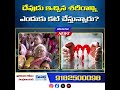 ఆరోగ్యంపై చంద్రబాబు కీలక వ్యాఖ్యలు! Chandrababu Naidu Viral Health Speech#kanukatv #cbn #apnews