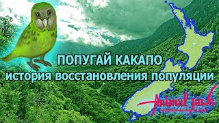 Kakapo parrot: the history of population recovery