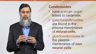 BIO202 Topic145