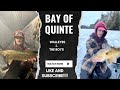 Icefishing the bay of quinte for walleye