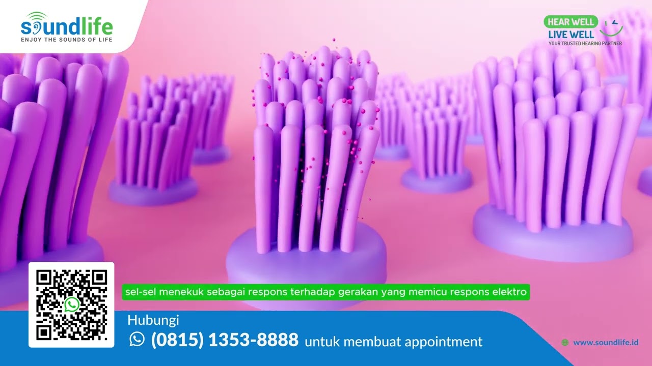 GN Design Cells 5 VOb   Sound to Brain VO SQU