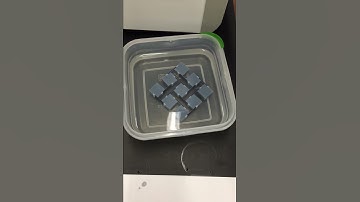 Lattice Prototype - Shape Memory Effect on 3D Printed Smart Material