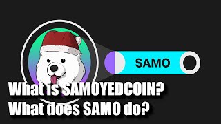 What is SAMOYEDCOIN? What does SAMO do?
