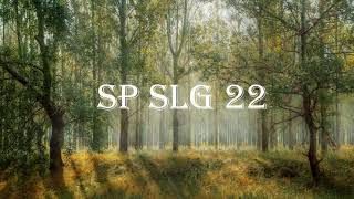 Swiftlet Sound - External - SP SLG 22