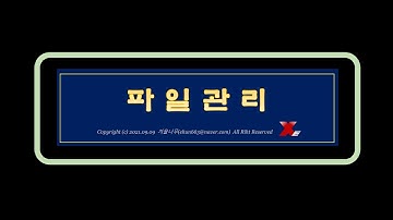 [VBA] 파일관리_파일 개별 및 일괄 오픈