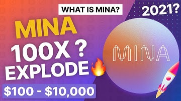 What Is Mina? Will Mina Protocol 100X In 2021? Decentralized?