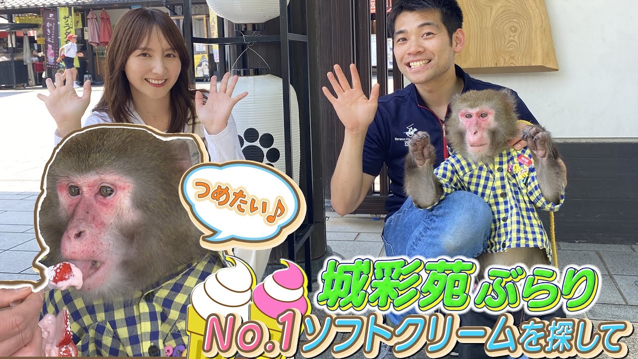 お猿が街ぶら「ソフトクリーム総選挙」開催中の城彩苑へ【プーキーズ・カイくん】