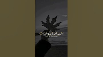 تلاوة هادئة تفيض جمالاً أرح بها بالك #4k