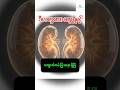 ဒီလက္ခဏာရှိရင် သင့် kidney အန္တရာယ်ရှိနေပြီ #shorts #kidneyhealth#healthtips