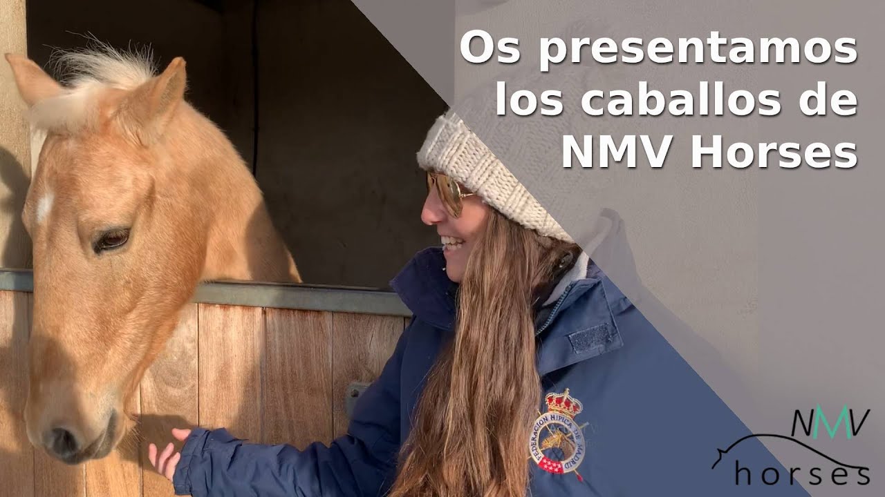 Download 🐴¡Os presentamos los caballos de NMV Horses🐴