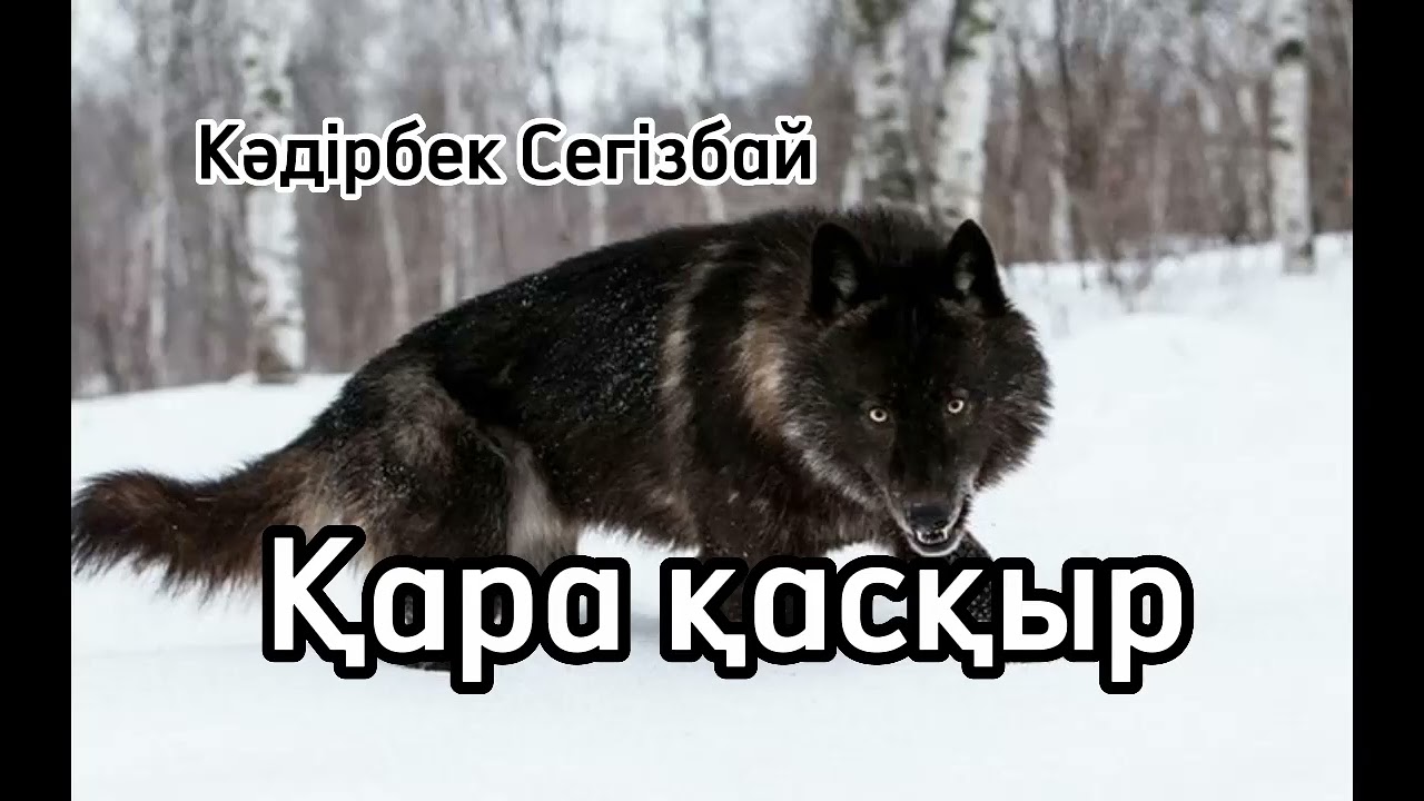 Оңтүстік Американың тайпалық әйелдерінің иттері Радителмен жыныстық қатынас