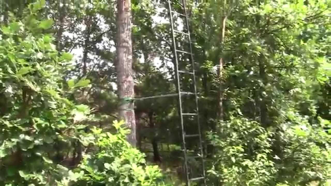 Happy Hunting Ground 