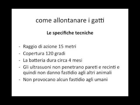 come allontanare i gatti