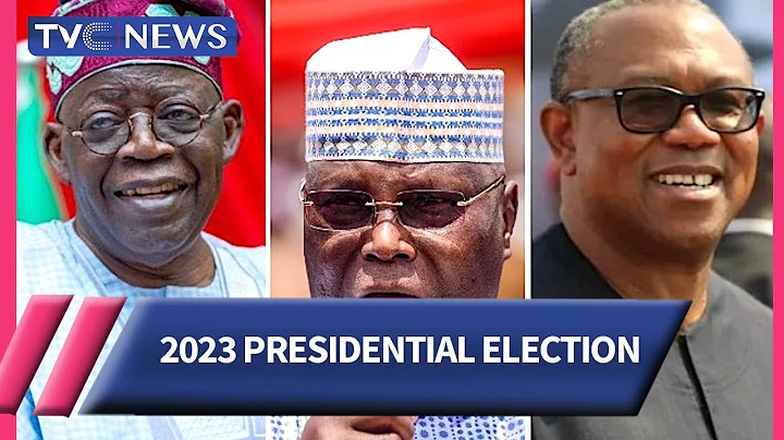 Peter Obi, Atiku Have No Case Against Tinubu  - Tunji Abayomi