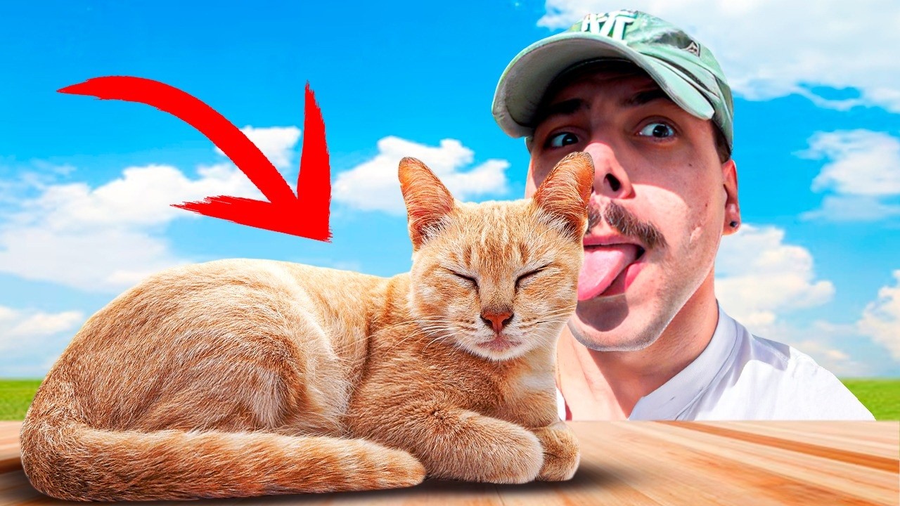 Esses são os vícios mais ESTRANHOS do mundo...