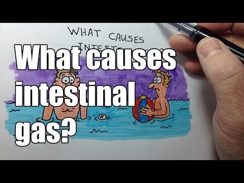 Video: Gas In The Intestines - Causes And Symptoms Of Gas In The Intestines