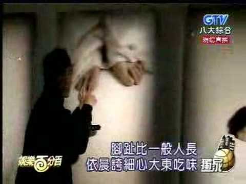 恶作剧之吻东京宣传,粉丝大阵丈欢迎