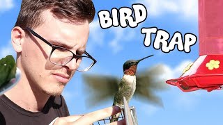 How to catch a BIRD! w/ HOWTOBASIC  - Save the Squirrels Initiative
